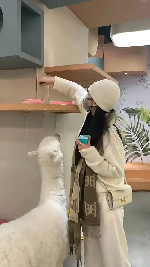 成 人 黄 色 网 站 在线播放视频_博体育app_在线观看高h无码黄动漫